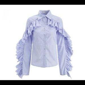 Ruffle sleeve blouse